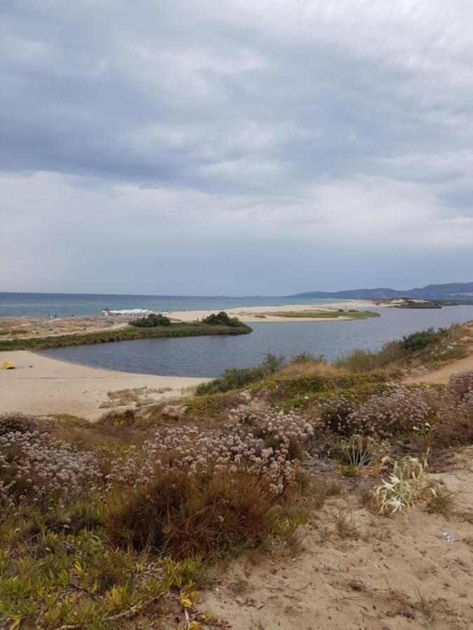 Villa "La Pina" Valledoria  Exteriér fotografie